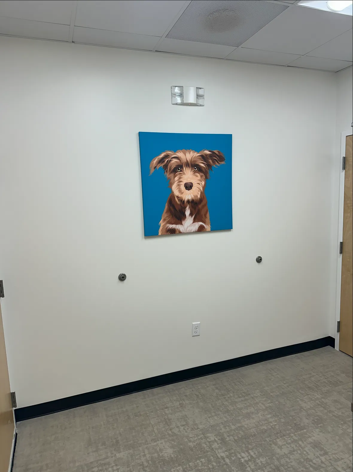 Commercial Facade Repaint